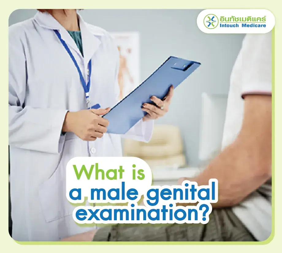 What is a male genital examination?