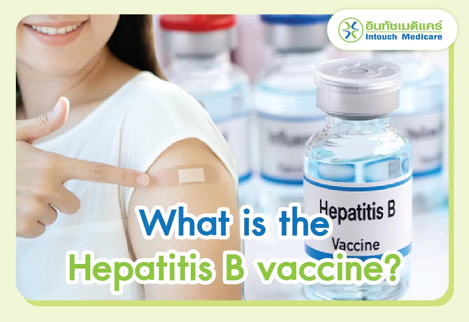 What is the Hepatitis B vaccine?