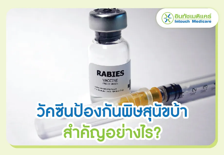 วัคซีนป้องกันพิษสุนัขบ้าสำคัญอย่างไร?