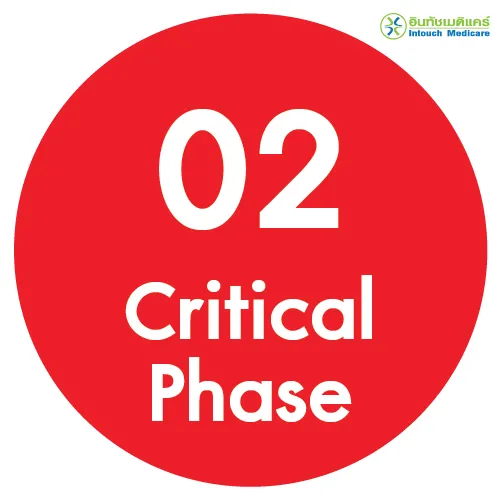 Critical Phase