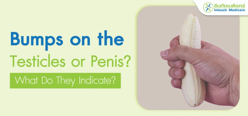 What Causes the Bumps on the Testicles or Penis? What Do They Indicate?