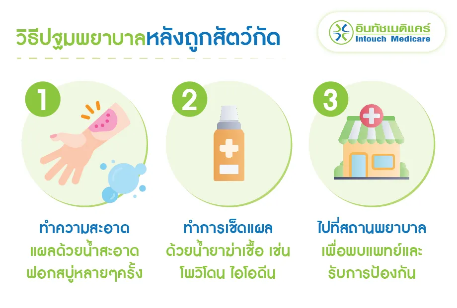 วิธีปฐมพยาบาลหลังถูกสัตว์กัด